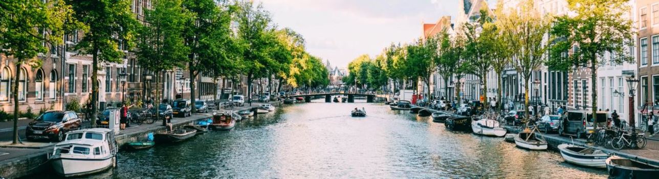 global-legal-leader-insight-series-catelijne-engering-taylor-root