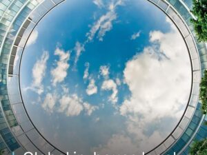 TR_Global in-house report 2025 - Portrait cover