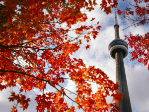 Living and working in Toronto